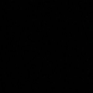 Meet your Posher, Dezaree